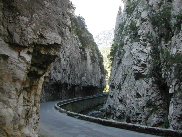 67_Galamus