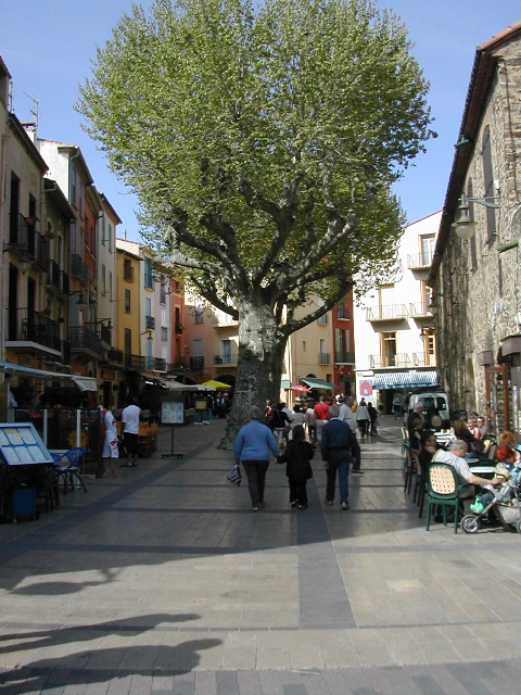 94_Altstadt von Collioure