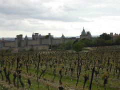 53_Mittelalter Weinberg