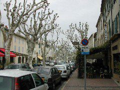 09_Plantanen in St. Remy