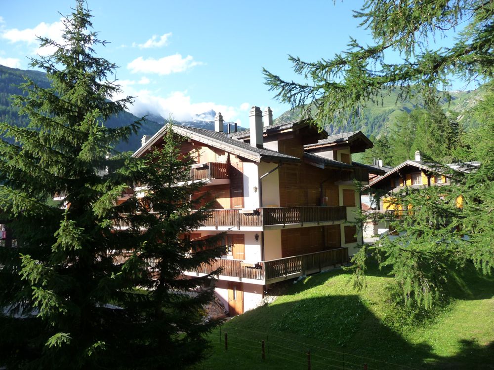 Fensterblick Oberwald