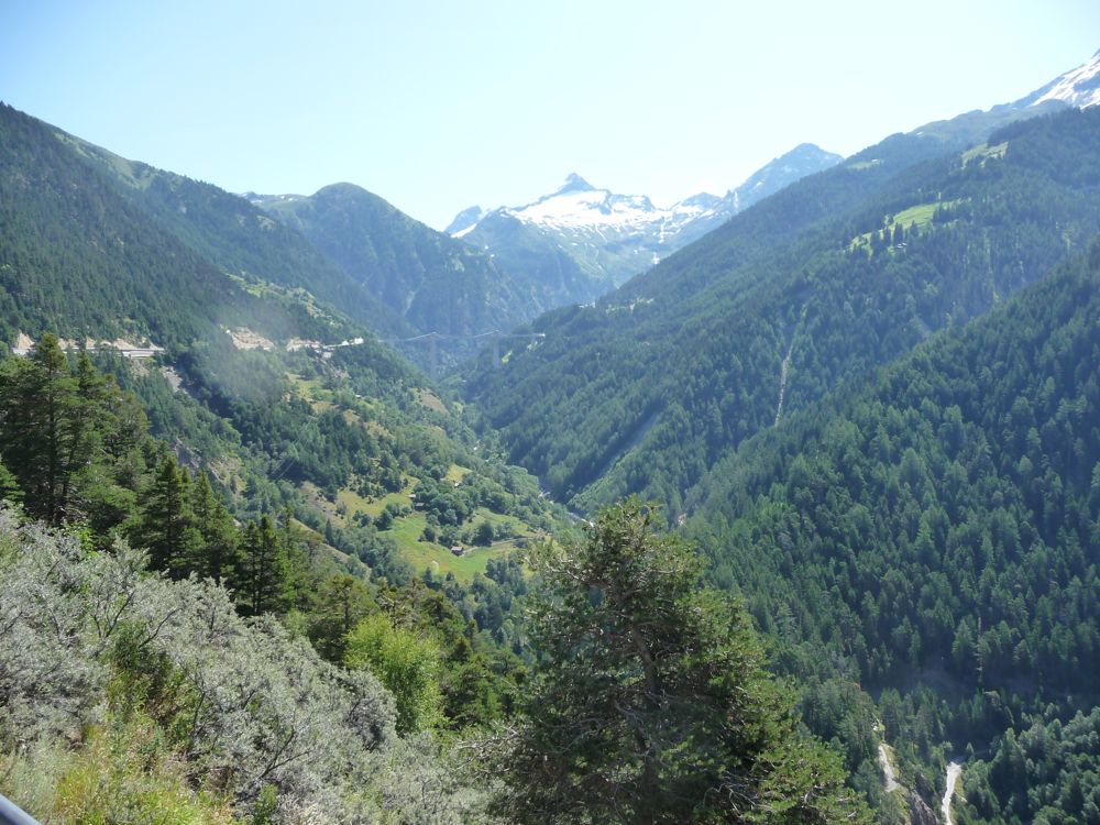 Simplon