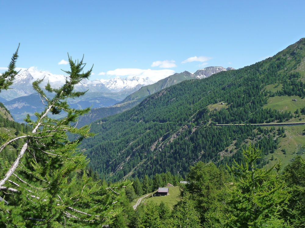 Simplon-Pass