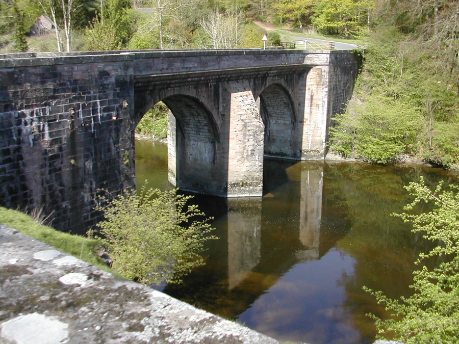 DSCN4303.JPG