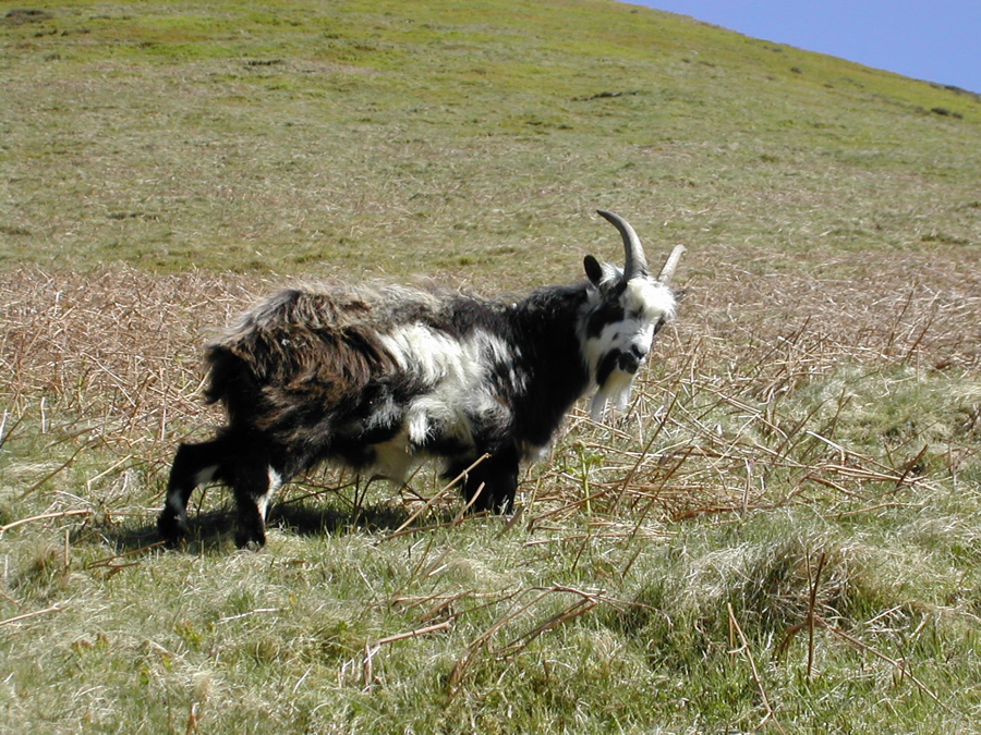DSCN4311.JPG