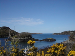 DSCN4266.JPG