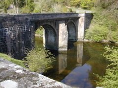 DSCN4303.JPG