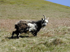 DSCN4311.JPG