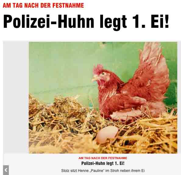Polizei-Huhn